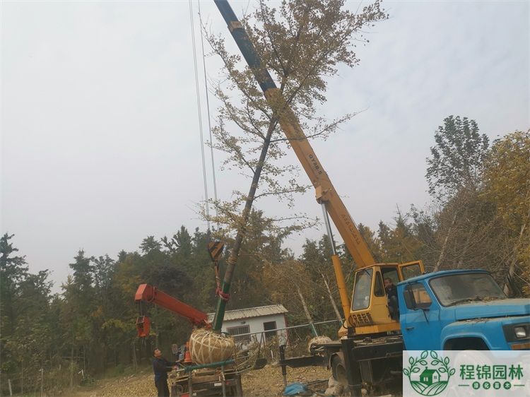 20公分丝瓜下载视频APP价格_最新20公分丝瓜下载视频APP市场价格